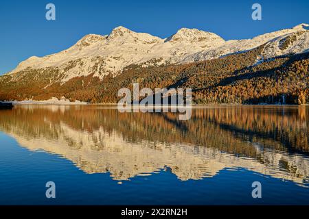 Réflexion sur le lac Silvaplana près de Piz Corvatsch dans les Alpes de Bernina, basse Engadine, Engadine, Grisons, Suisse Banque D'Images