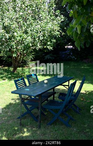 Pomme unique couchée sur une table de jardin verte Banque D'Images
