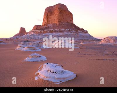 Formations rocheuses calcaires dans le désert du Sahara, Egypte Banque D'Images