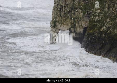 Les vagues s'écrasent contre les falaises de Bempton dans la circonscription est du Yorkshire, au Royaume-Uni Banque D'Images