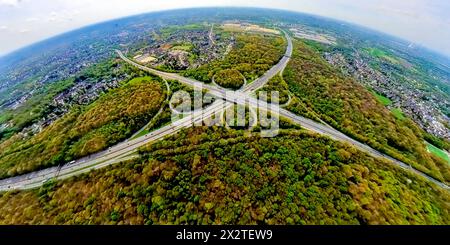 Luftbild, Autobahnkreuz Oberhausen mit der Autobahn A3, Autobahn A2 und Autobahn A516 im Sterkrader Wald in bunten Farben, Königshardt, Oberhausen, Rheinland, Ruhrgebiet, Nordrhein-Westfalen, Deutschland ACHTUNGxMINDESTHONORARx60xEURO *** vue aérienne, jonction d'autoroute Oberhausen avec autoroute A3, autoroute A2 et autoroute A516 dans la forêt Sterkrader en couleurs vives, Königshardt, Oberhausen, Rhénanie, région de la Ruhr, Rhénanie du Nord-Westphalie, Allemagne ACHTUNGxMINDESTHONORARx60xEURO Banque D'Images