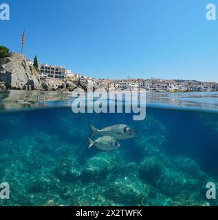 Ville balnéaire Calella de Palafrugell sur la côte méditerranéenne en Espagne vue de la surface de la mer avec des poissons sous l'eau, scène naturelle, vue partagée Banque D'Images