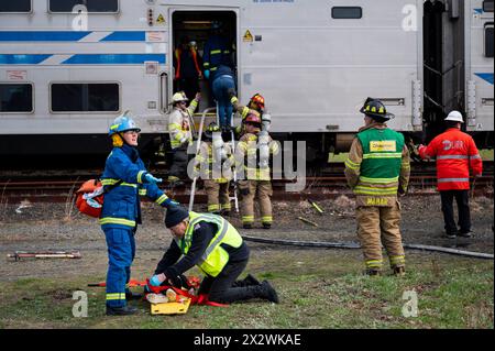 Les victimes présumées sont retirées d'un train du LIRR (long Island Rail Road) lors d'un exercice d'incident impliquant de nombreuses victimes qui s'est tenu à Amagansett, NY, le 21 avril 2024. L'exercice a été organisé par le Service d'incendie d'Amagansett, en collaboration avec l'East Hampton Town Chiefs Association, l'hôpital Stony Brook Southampton et le MTA/LIRR. Banque D'Images