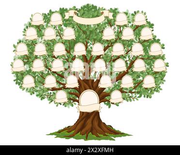 Arbre généalogique de généalogie pour l'histoire de l'ascendance avec des cadres photo sur les branches, modèle vectoriel. Arbre généalogique avec connexion parentale et cadres d'image vierges avec des rubans de nom pour la généalogie Illustration de Vecteur