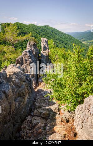 The Seneca Rocks, escalade destination Spruce Knob-Seneca Rocks National Recreation Area, parc à Riverton, Virginie occidentale, États-Unis Banque D'Images