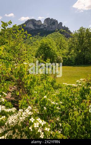 The Seneca Rocks, escalade destination Spruce Knob-Seneca Rocks National Recreation Area, parc à Riverton, Virginie occidentale, États-Unis Banque D'Images