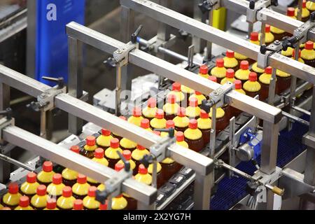 Vue de dessus du convoyeur avec des bouteilles avec de la bière légère fraîche dans l'usine de bière moderne. Banque D'Images