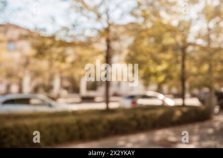 Une photo floue d'une rue avec des voitures et des arbres. La photo a une qualité rêveuse et brumeuse, comme si elle était prise à travers une fenêtre brumeuse. Banque D'Images