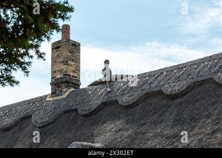 Un toit de chaume avec un finial en forme de rameur, une crête décorative et une cheminée en briques contre un ciel bleu. Great Shelford, Cambridgeshire, Angleterre, Royaume-Uni Banque D'Images