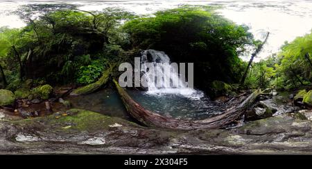 Cascade dans la jungle. Chutes de Malisbog dans la forêt tropicale. Negros, Philippines. VR 360. Banque D'Images