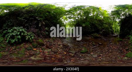 Rivière dans la forêt tropicale dans les montagnes. Negros, Philippines. Vue à 360 degrés. Banque D'Images