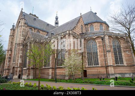 Vue panoramique sur la Laurenskerk (église Saint-Laurent), une église protestante médiévale du centre-ville de Rotterdam, aux pays-Bas Banque D'Images