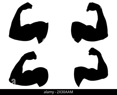 Art vectoriel de silhouette de muscle Illustration de Vecteur