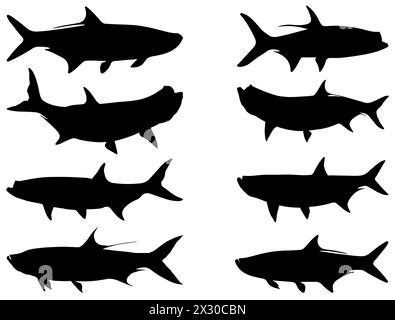 Art vectoriel de silhouette de poisson Tarpon Illustration de Vecteur