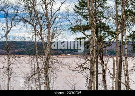 Rivière Petitcodiac à travers les arbres Banque D'Images