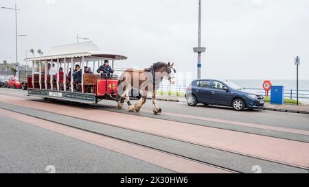 Tramway tiré par des chevaux partant de son départ à l'extrémité du château de Derby à Douglas, et allant vers l'extrémité du théâtre Gaiety de la promenade. Banque D'Images