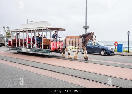 Tramway tiré par des chevaux partant de son départ à l'extrémité du château de Derby à Douglas, et allant vers l'extrémité du théâtre Gaiety de la promenade. Banque D'Images