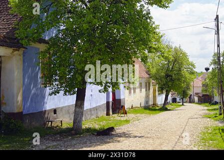 Rue avec maisons traditionnelles roumaines dans le village de Viscri (Transylvanie) Banque D'Images
