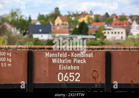 Hettstedt, Allemagne. 18 avril 2024. Wagons de marchandises miniers de Mansfeld avec l'inscription 'Mansfeld-Kombinat Wilhelm Pieck Eisleben' à la gare de Kupferkammerhütte. Le plus ancien chemin de fer à voie étroite opérationnel en Allemagne est également exploité comme un chemin de fer musée à vapeur sur une partie de l'ancien vaste réseau de chemins de fer miniers dans la région de Mansfeld. Crédit : Jan Woitas/dpa/Alamy Live News Banque D'Images