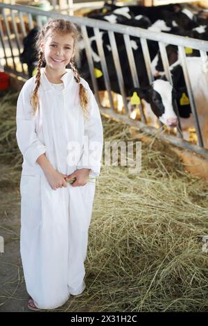 Jolie fille en robe blanche avec des stands de foin près de stalle avec de petits veaux à grande ferme. Banque D'Images