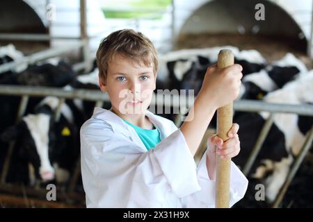 Garçon en robe blanche se tient avec fourche à foin près de petits veaux à la grande ferme de vaches. Banque D'Images