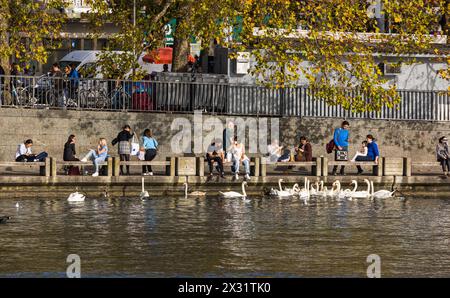 Die wärmende Herbstsonne geniessen zahlreiche Menschen am Ufer des Zürichsees. Einige Füttern Höckerschwäne. (Zürich, Schweiz, 29.10.2022) Banque D'Images