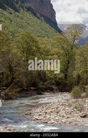 rivière sereine coulant à travers un lit rocheux, entouré d'arbres verdoyants et de montagnes imposantes sous un ciel nuageux Banque D'Images