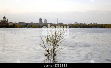 KIEV, UKRAINE - 24 AVRIL 2024 - Un arbre du parc Natalka, dans le district d'Obolonskyi, est inondé par la montée du niveau de l'eau dans la rivière Dnipro, Kiev, capitale de l'Ukraine. Banque D'Images