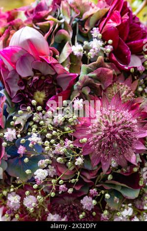 Botanique, bouquet automnal rond de, PRUDENCE! POUR GREETINGCARD-USE / POSTCARD-USE DANS LES PAYS GERMANOPHONES, CERTAINES RESTRICTIONS PEUVENT S'APPLIQUER Banque D'Images