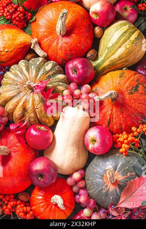 Arrière-plan d'automne avec fruits et légumes de saison, vue du dessus, plat. Joyeux Thanksgiving concept Banque D'Images