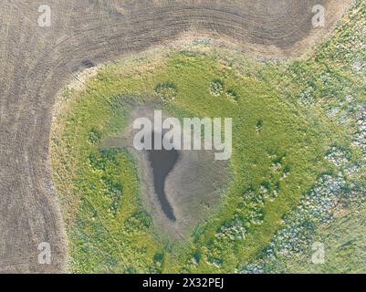 Un lagon avec la forme de 'l'Amérique du Sud' dans un champ de la pampa Argentine, Las Flores, province de Buenos Aires, Argentine. Banque D'Images