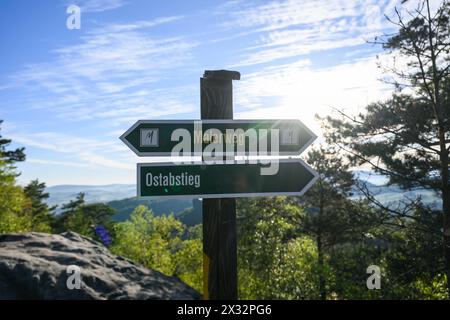 Gohrisch, Allemagne. 23 avril 2024. Deux panneaux indiquant 'Malerweg' et 'Ostabstieg' peuvent être trouvés sur un sentier de randonnée sur la montagne de la table Gohrisch en Suisse saxonne. Crédit : Robert Michael/dpa/Alamy Live News Banque D'Images