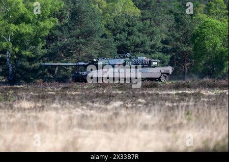 Kampfpanzer Leopard 2 A7 im Gelaende, Bundespraesident Frank-Walter STEINMEIER besucht die Uebung National Guardian, die Panzertruppenschule und die Militaerseelsorge auf dem Truppenuebungsplatz à Munster, 18.04.2024, *** Leopard 2 A7 char principal sur le terrain, le président allemand Frank Walter STEINMEIER visite l'exercice du National Guardian, L'école des troupes de chars et l'aumônerie militaire dans la zone d'entraînement de Munster, 18 04 2024, Banque D'Images