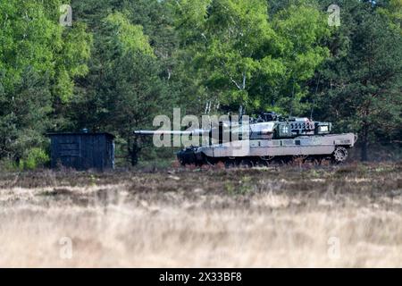 Kampfpanzer Leopard 2 A7 im Gelaende, Bundespraesident Frank-Walter STEINMEIER besucht die Uebung National Guardian, die Panzertruppenschule und die Militaerseelsorge auf dem Truppenuebungsplatz à Munster, 18.04.2024, *** Leopard 2 A7 char principal sur le terrain, le président allemand Frank Walter STEINMEIER visite l'exercice du National Guardian, L'école des troupes de chars et l'aumônerie militaire dans la zone d'entraînement de Munster, 18 04 2024, Banque D'Images