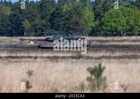 Kampfpanzer Leopard 2 A7 im Gelaende, Bundespraesident Frank-Walter STEINMEIER besucht die Uebung National Guardian, die Panzertruppenschule und die Militaerseelsorge auf dem Truppenuebungsplatz à Munster, 18.04.2024, *** Leopard 2 A7 char principal sur le terrain, le président allemand Frank Walter STEINMEIER visite l'exercice du National Guardian, L'école des troupes de chars et l'aumônerie militaire dans la zone d'entraînement de Munster, 18 04 2024, Banque D'Images