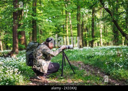 Un photographe de paysages ou animaliers installe l'appareil photo sur un trépied. L'homme photographie dans la forêt printanière Banque D'Images
