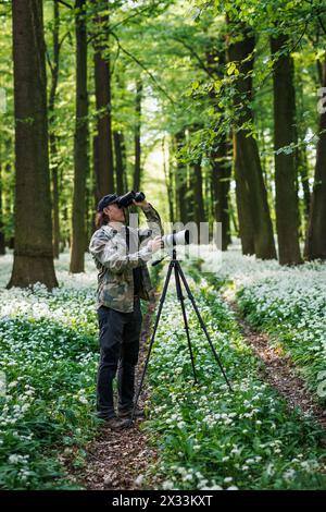 Photographe animalier observe les oiseaux dans la forêt. Homme avec des jumelles à la recherche d'oiseaux dans la forêt printanière Banque D'Images