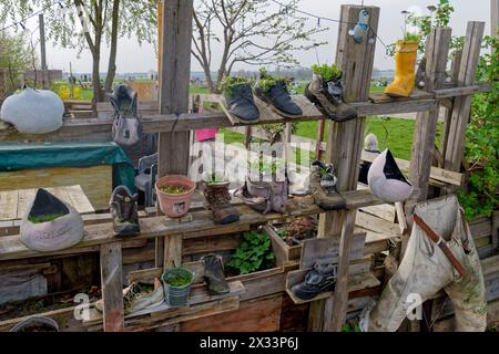 Frühling à Berlin 2024, Tempelhofer Feld, Pflanzen à Schuhen, Gemeinschaftsgarten, Berlin Banque D'Images