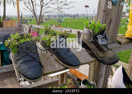 Frühling à Berlin 2024, Tempelhofer Feld, Pflanzen à Schuhen, Gemeinschaftsgarten, Berlin Banque D'Images