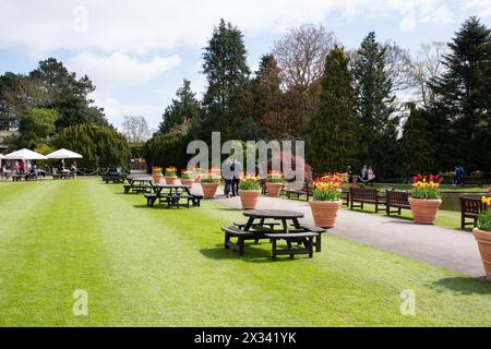 Burnby Hall Gardens, festival des tulipes Banque D'Images