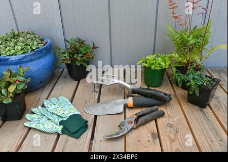 Banc de rempotage de jardin de printemps avec outils d'équipement de jardin pour le nettoyage de la cour. Banque D'Images