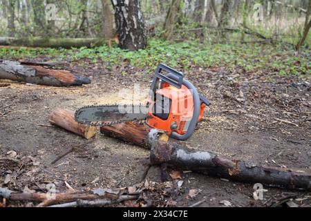 Tronçonneuse couchée sur le sol près de l'arbre scié sec dans la forêt Banque D'Images