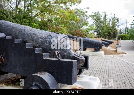 Complexe de musées Malakhov Kurgan à Sébastopol, Crimée. La guerre de Crimée de 1854-1855. Armes anciennes dans une rangée Banque D'Images