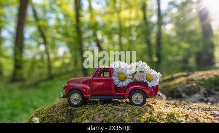 Voiture rétro rouge porter des fleurs de Marguerite dans la forêt magique Banque D'Images