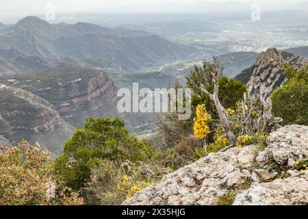 Vue paysage des montagnes et formations rocheuses dans la chaîne de Montserrat, près de Barcelone, Catalogne, Espagne. Banque D'Images