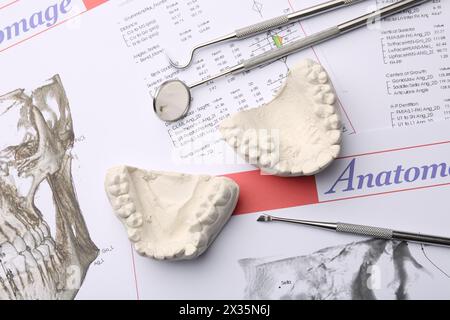 Modèle dentaire avec gencives et outils de dentiste sur cartes anatomiques, pose à plat. Fonte de dents Banque D'Images