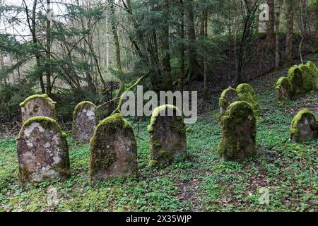 Cimetière juif du XVIIIe siècle, pierres tombales altérées, Sulzburg, Markgraeflerland, haute Forêt-Noire, Bade-Wuertemberg, Allemagne Banque D'Images