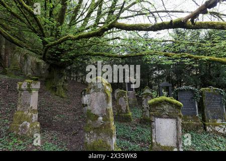 Cimetière juif du XVIIIe siècle, pierres tombales altérées, Sulzburg, Markgraeflerland, haute Forêt-Noire, Bade-Wuertemberg, Allemagne Banque D'Images