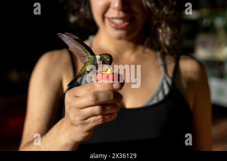 Femme latino-américaine (38) tient une mangeoire de colibris dans ses mains alors qu'elle se nourrit de nourriture spécialement préparée pour l'oiseau. Focalisation sélective sur le bourdonnement Banque D'Images