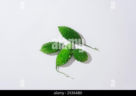 Sur fond blanc, melon amer également connu sous le nom de gourde amère isolé. Vue de dessus, scène minimale d'ingrédient naturel pour les soins de la peau et les soins capillaires. Bi Banque D'Images